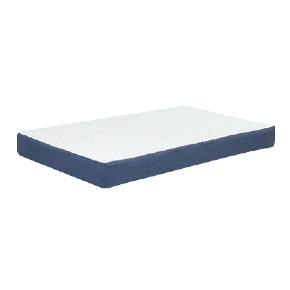 Cuccia cani da interno Bignè Cuccioletti