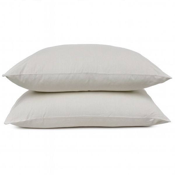 Coppia cuscini in fibra naturale